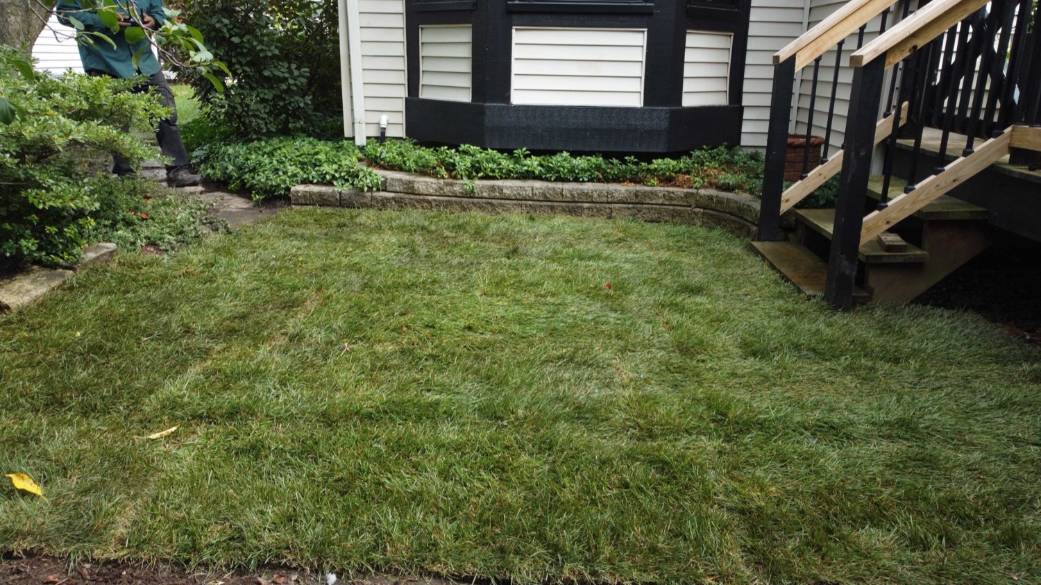 Fresh sod install by Durane&rsquo;s Landscaping