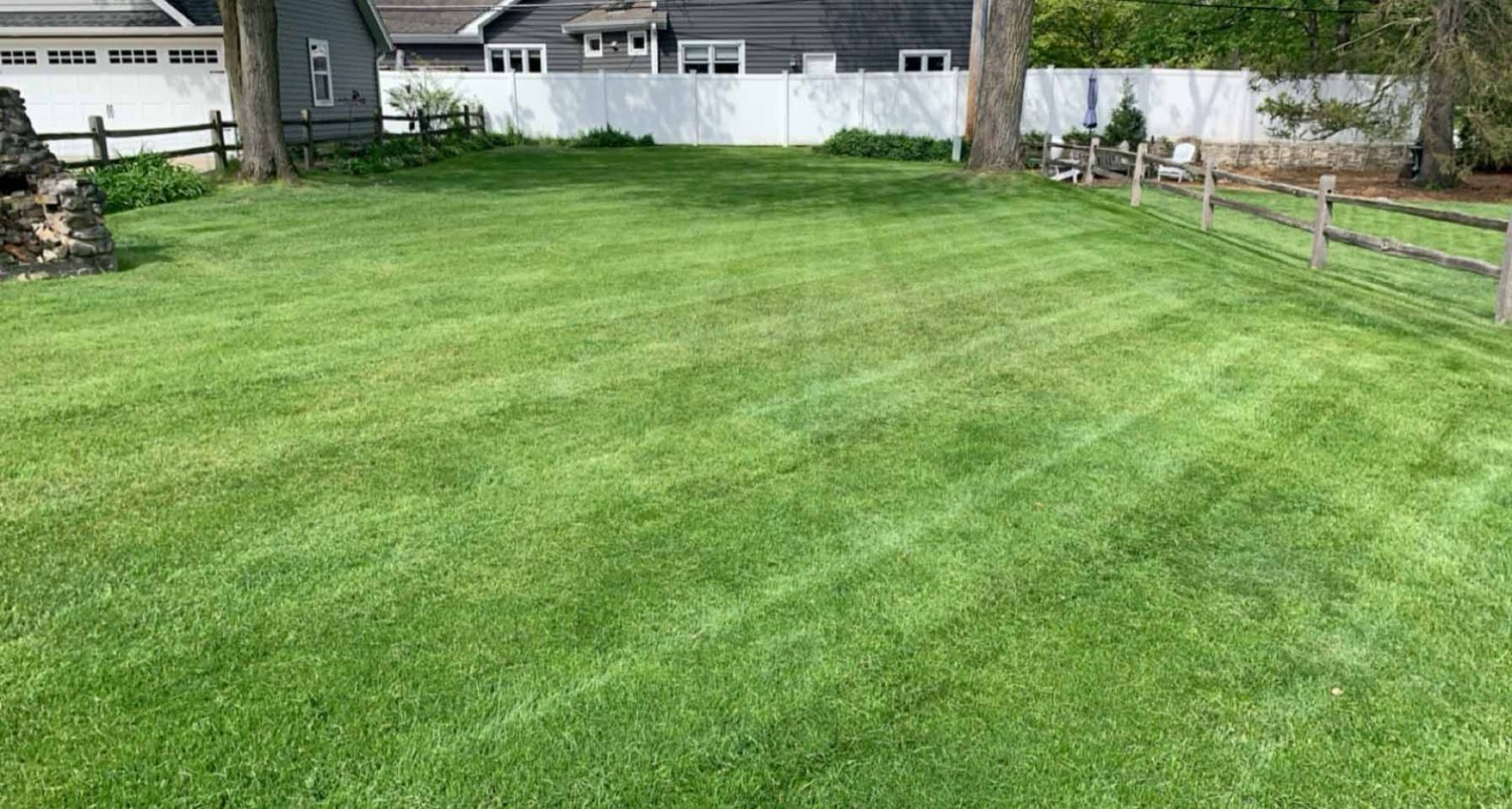 Weekly lawn mowing in Downers Grove