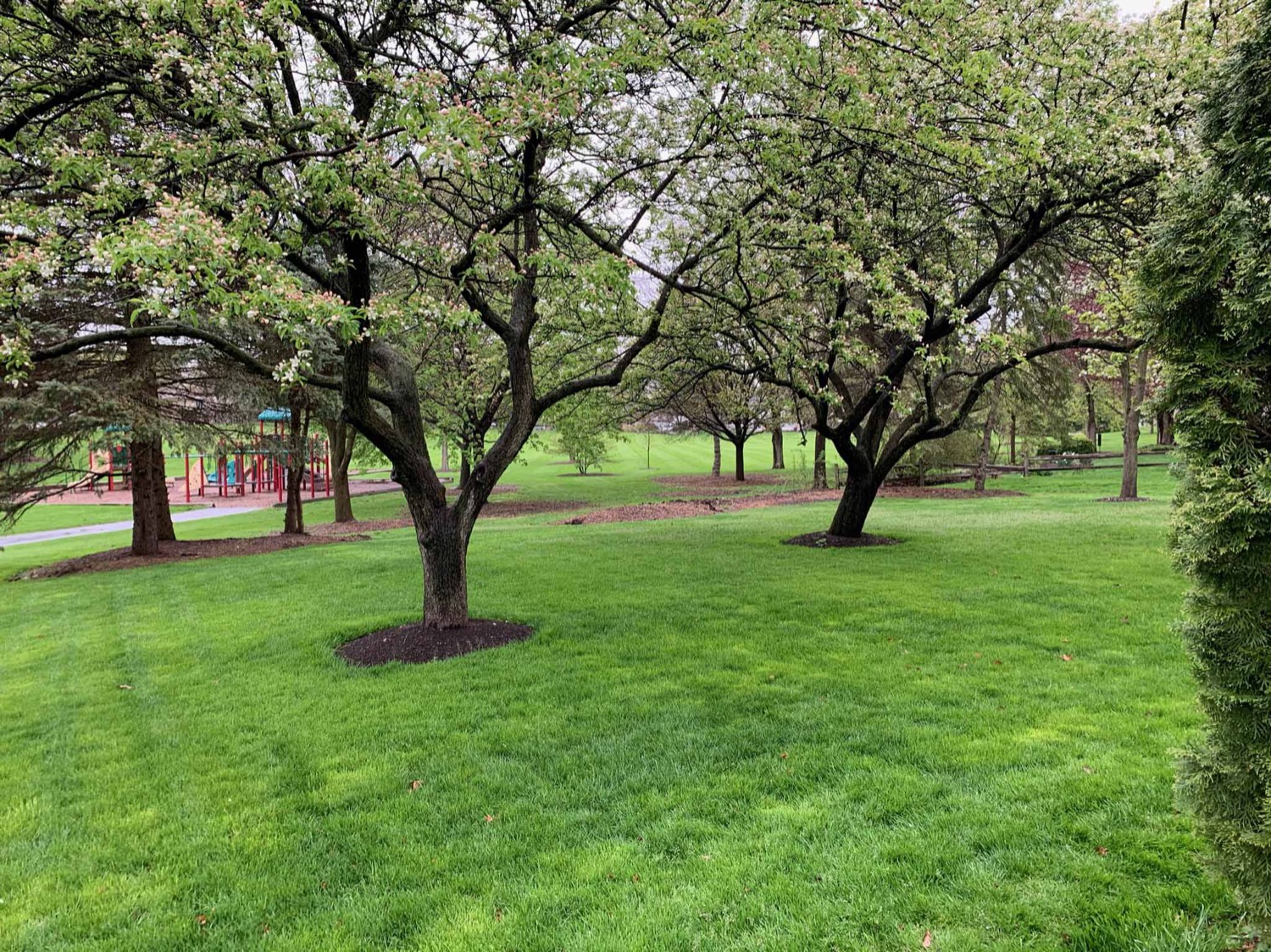 Freshly mulched and edged landscape beds