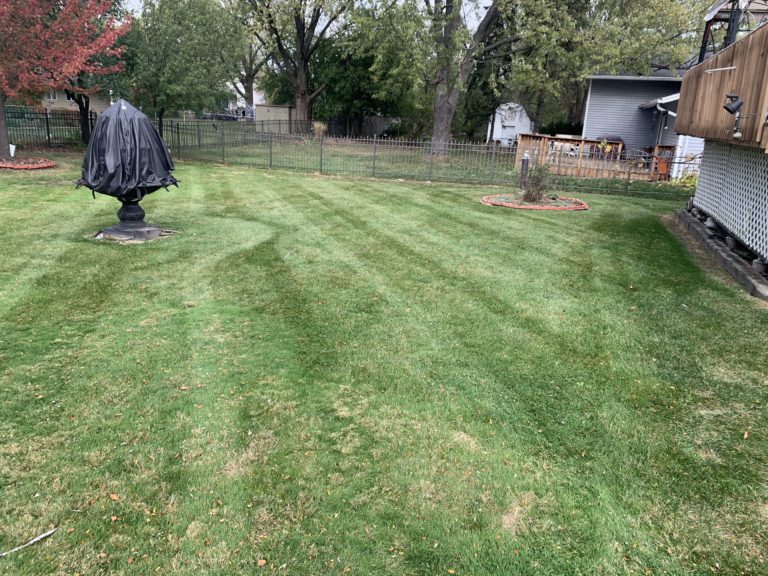 Woodridge-Weekly-Lawn-Mowing