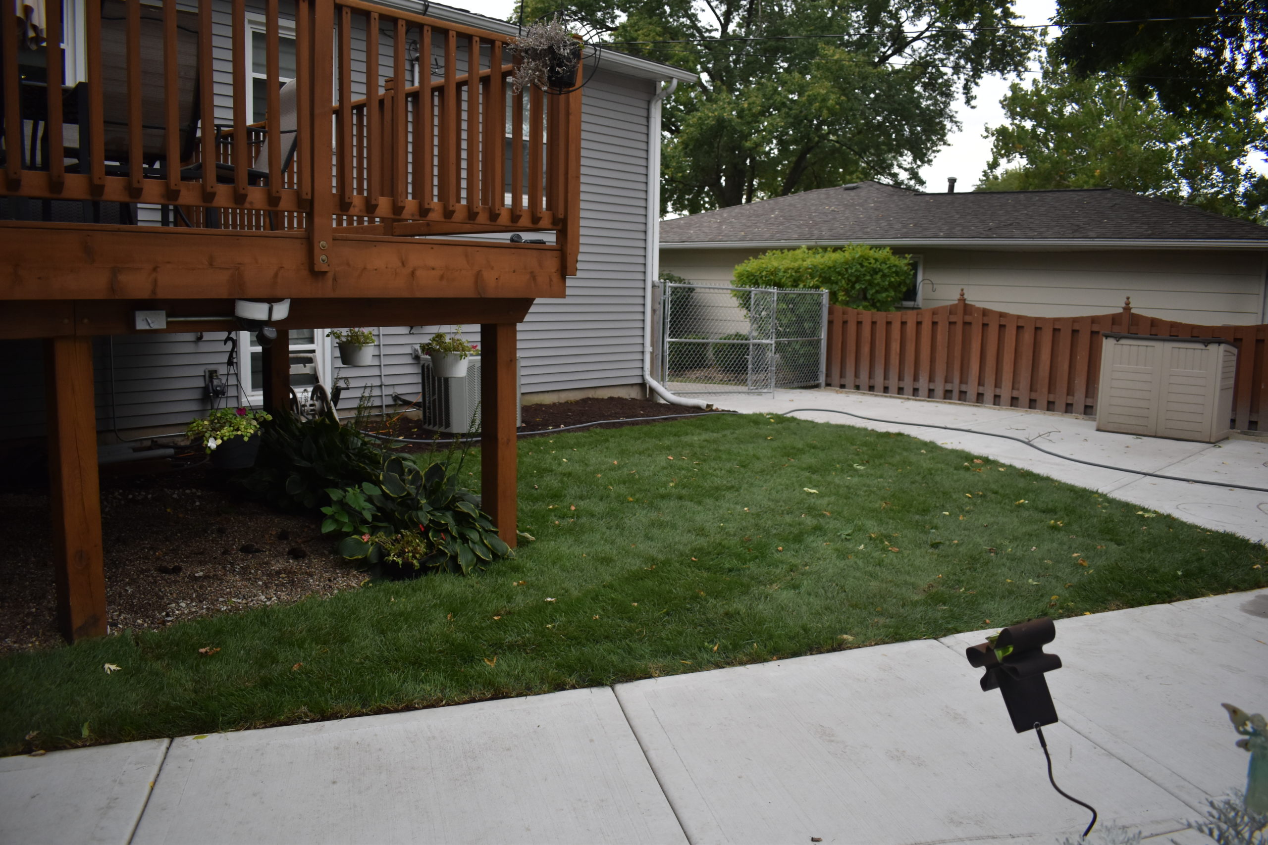 Woodridge-Sod-Install-With-Old-Lawn-Removal