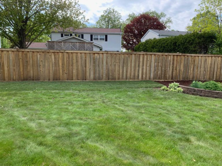 Downers-Grove-Emerald-Green-Arborvitae-Mulch-And-Sod-Repair-2