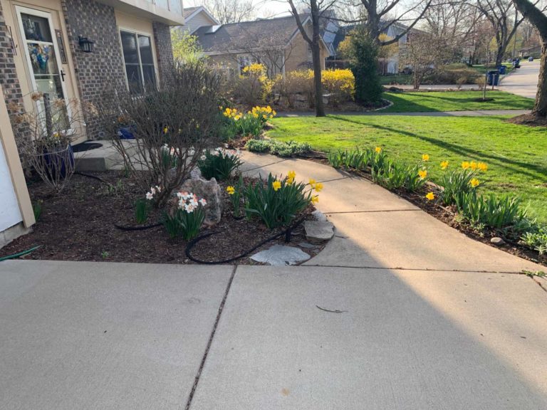 Before-Picture-Downers-Grove-Front-Yard-Mulch-1