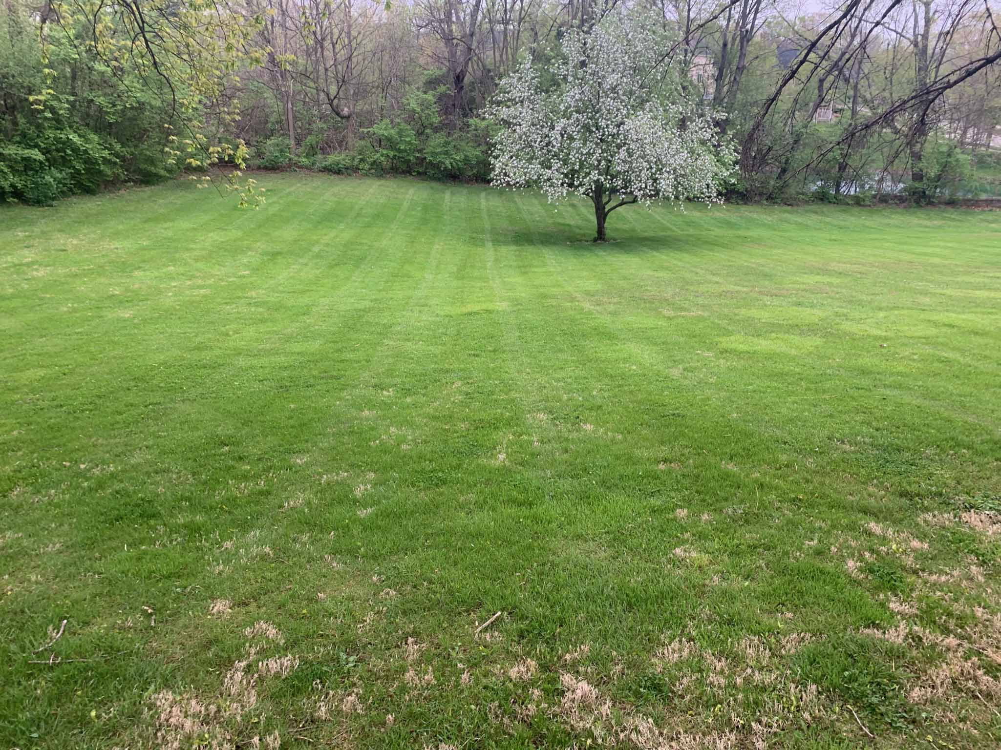 Best-Downers-Grove-Lawn-Mowing
