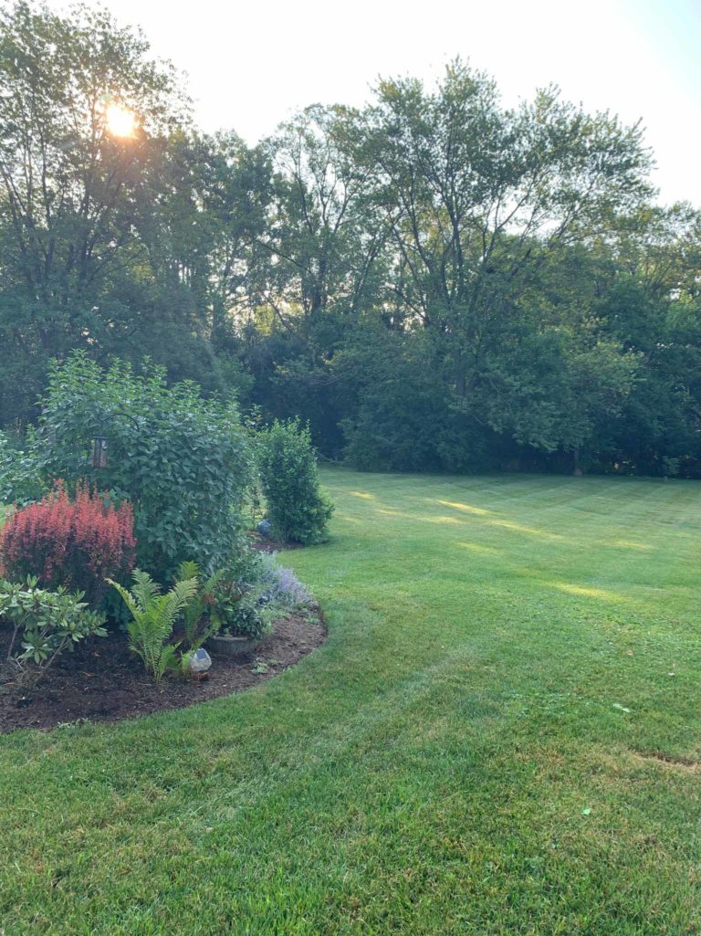 Morning-Downers-Grove-Lawn-Mowing