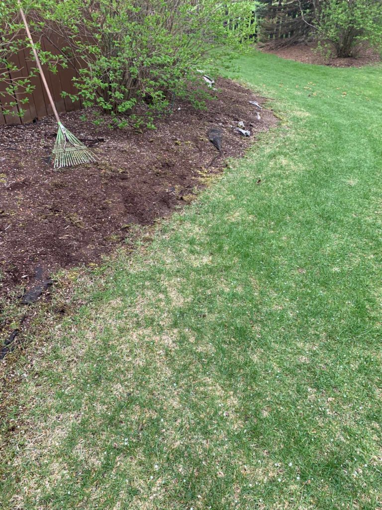 Before-Picture-Lisle-Clean-Up-And-Mulch-1