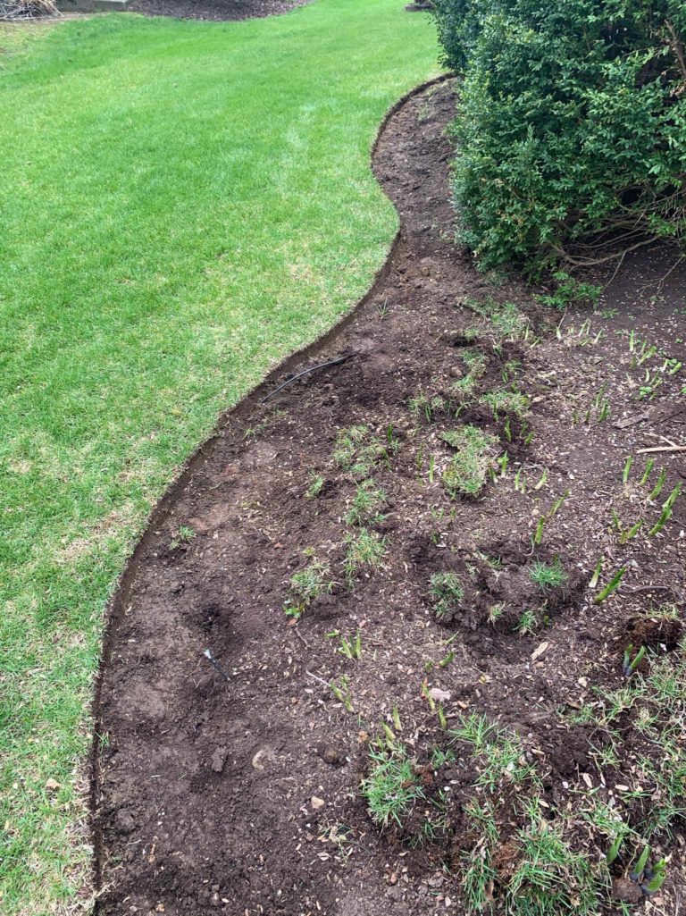 In-Progress-Lisle-Clean-Up-And-Mulch-3