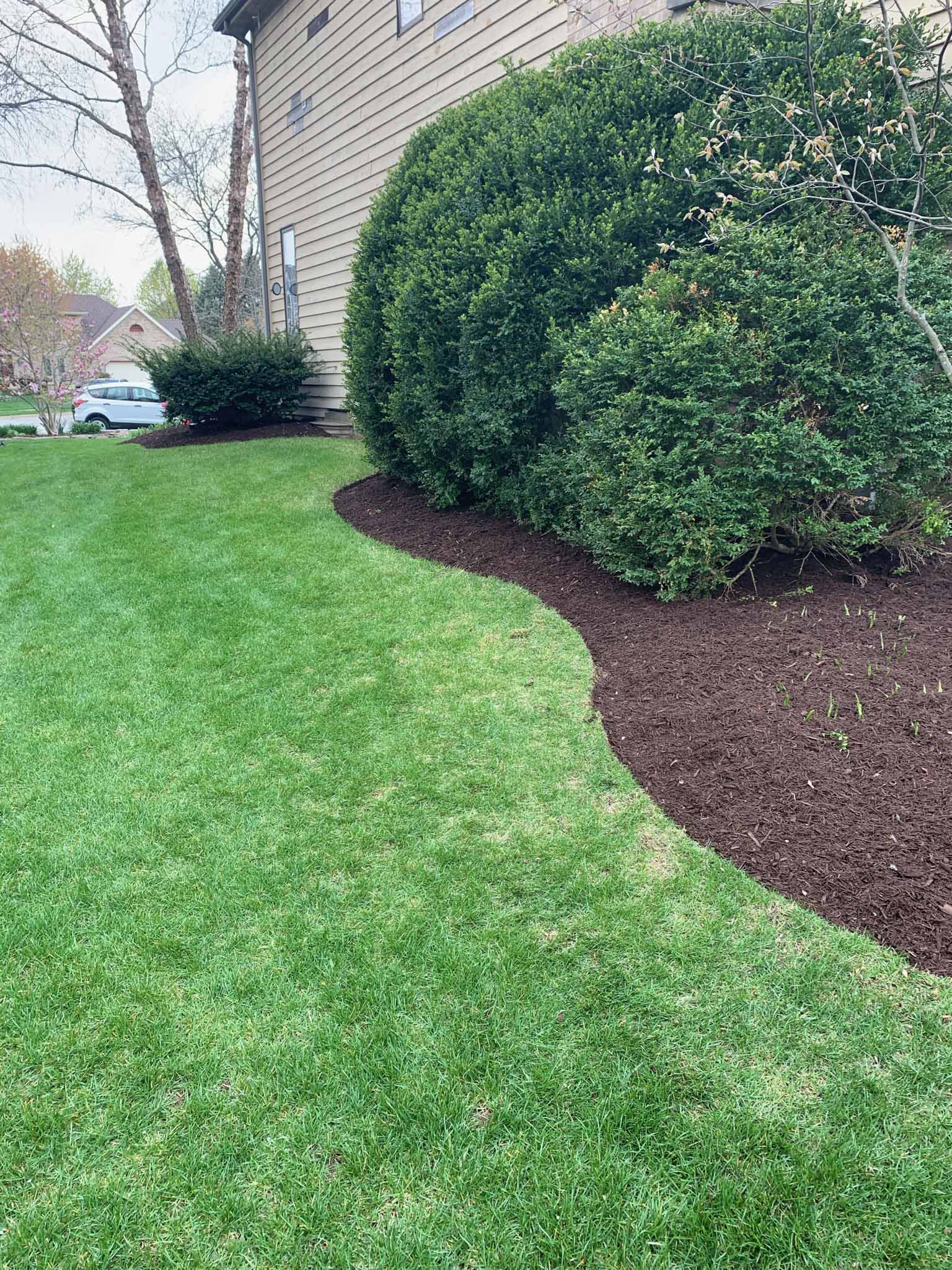 Lisle Clean Up and Mulch