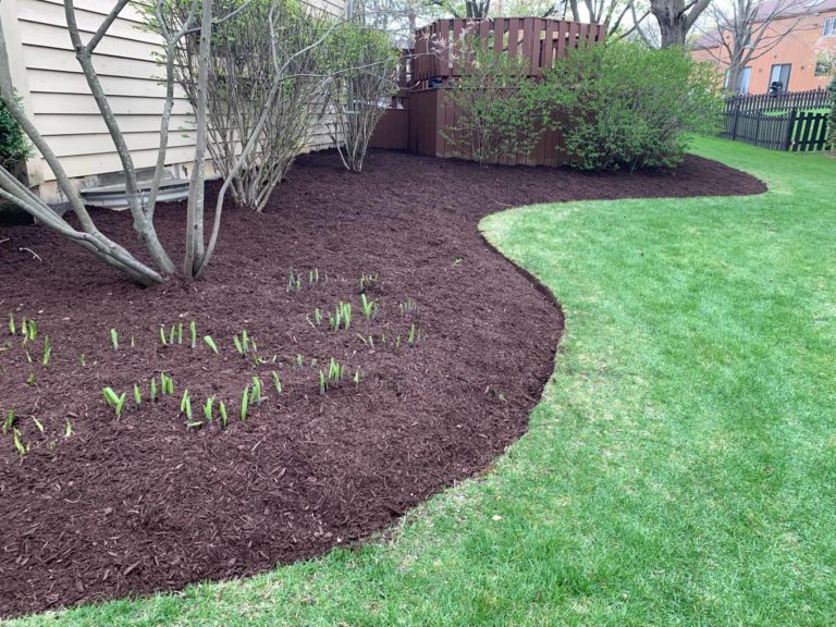 After-Picture-Lisle-Clean-Up-And-Mulch-5