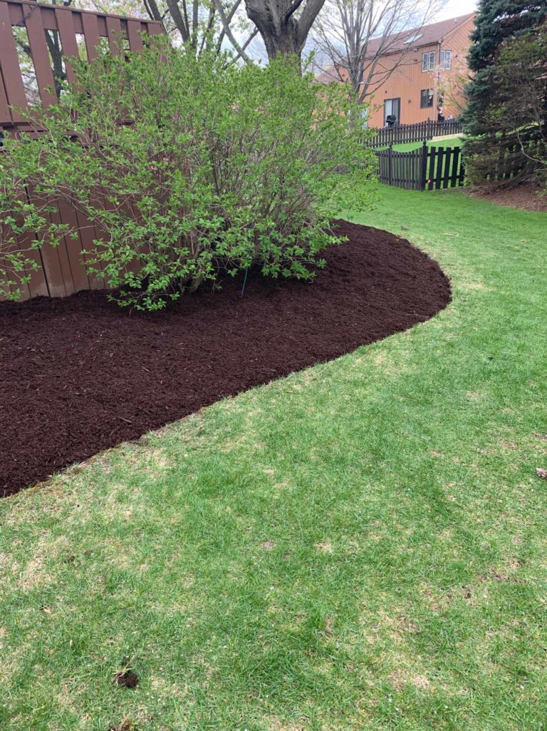 After-Lisle-Clean-Up-And-Mulch-7
