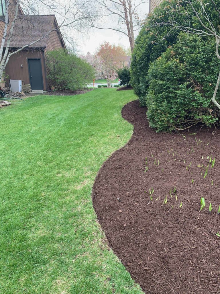 After-Picture-Lisle-Clean-Up-And-Mulch