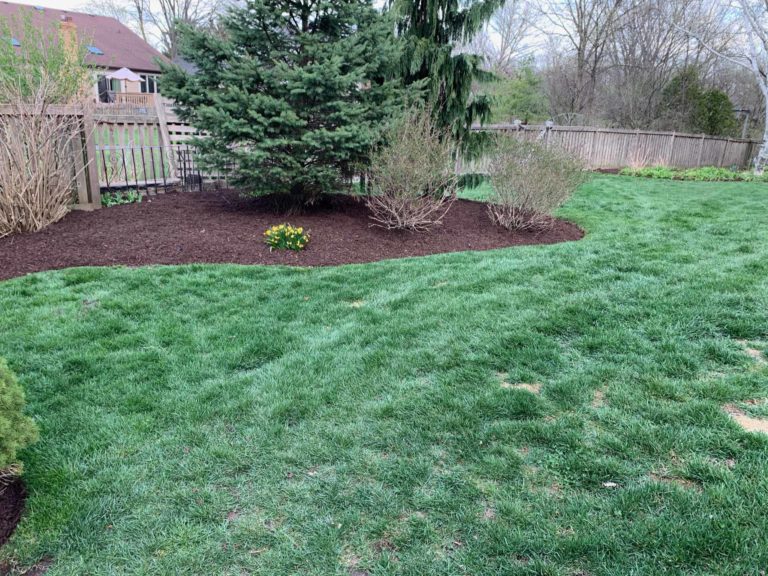 After-Lisle-Clean-Up-And-Mulch-8