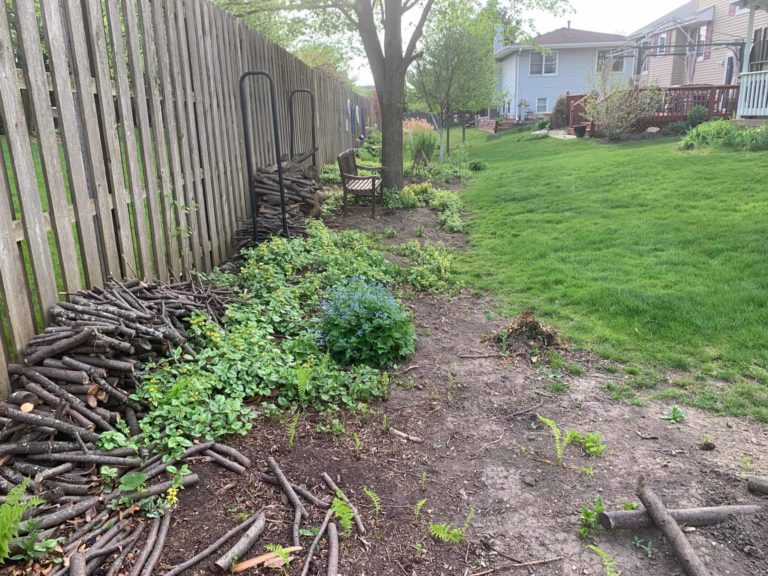 Before-Picture-Naperville-Backyard-Mulch-6