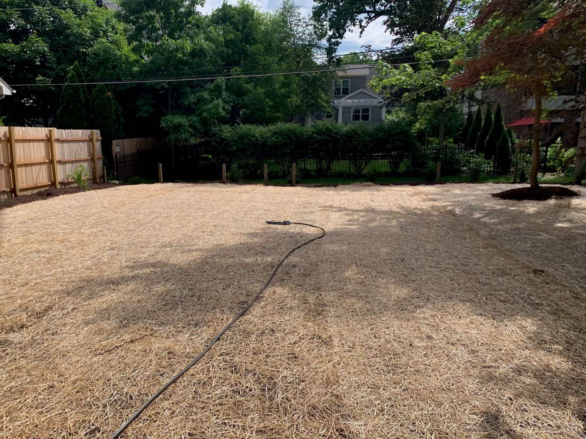 Naperville Backyard Replacement with Seed