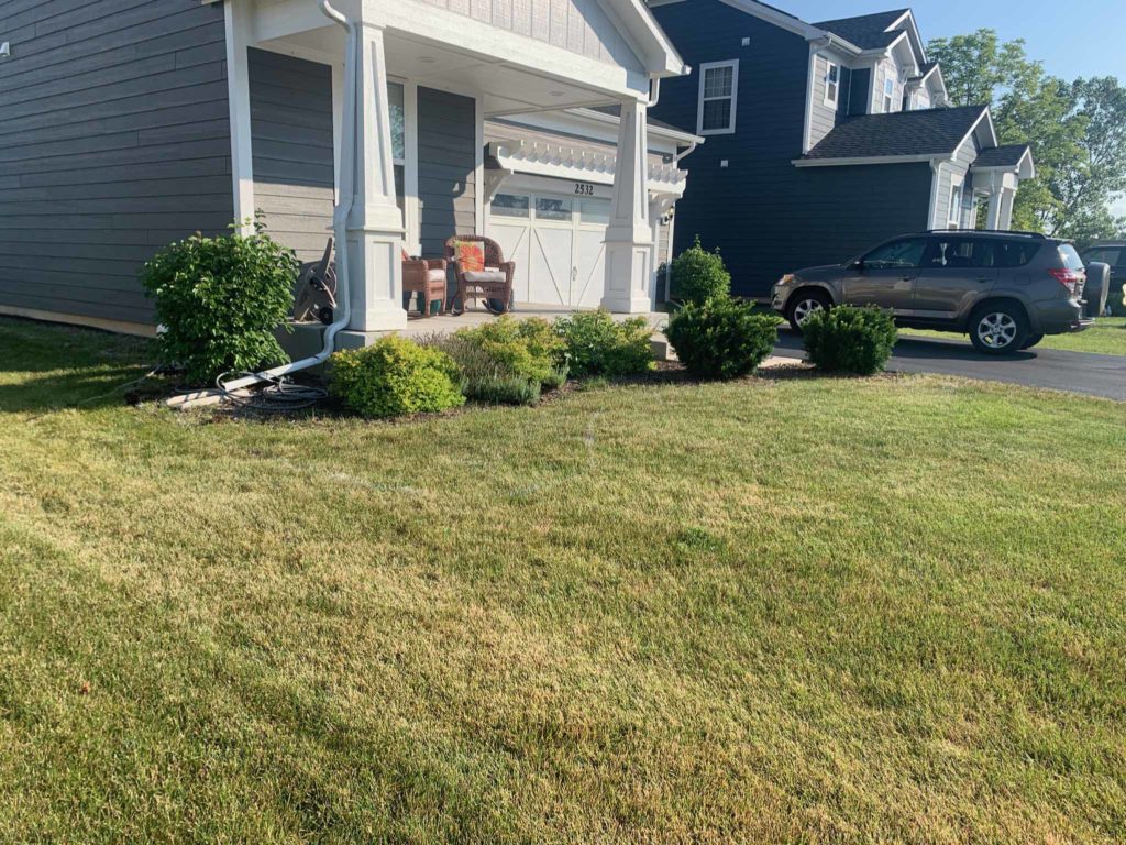 The same front yard before, with an overgrown bed