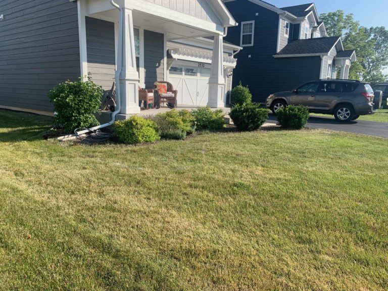 Before-Picture-Woodridge-Planting-And-Mulch-4