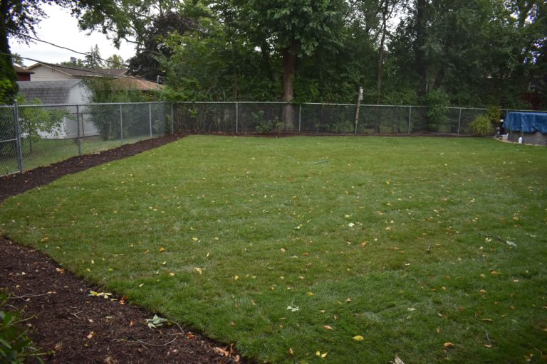 Completed-Backyard-Woodridge-Sod-Repair-8