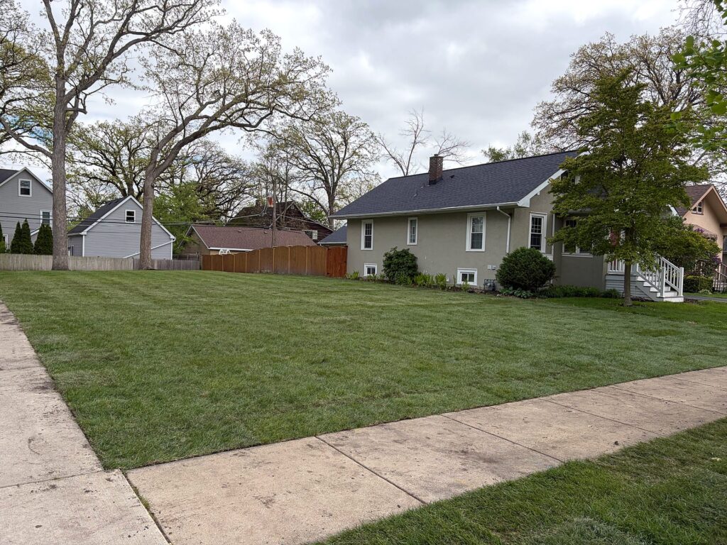 Fresh sod just laid, seams still visible across a new side yard
