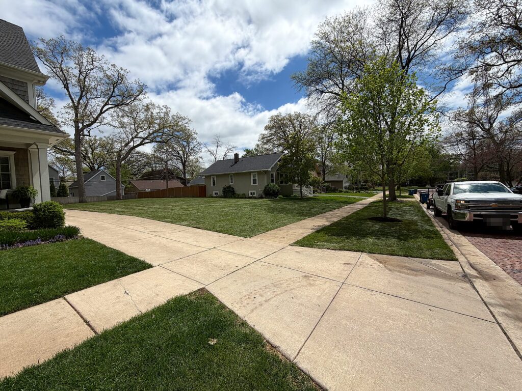 Fresh Sod & Parkway